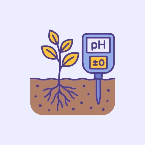 pH Düzenleyiciler